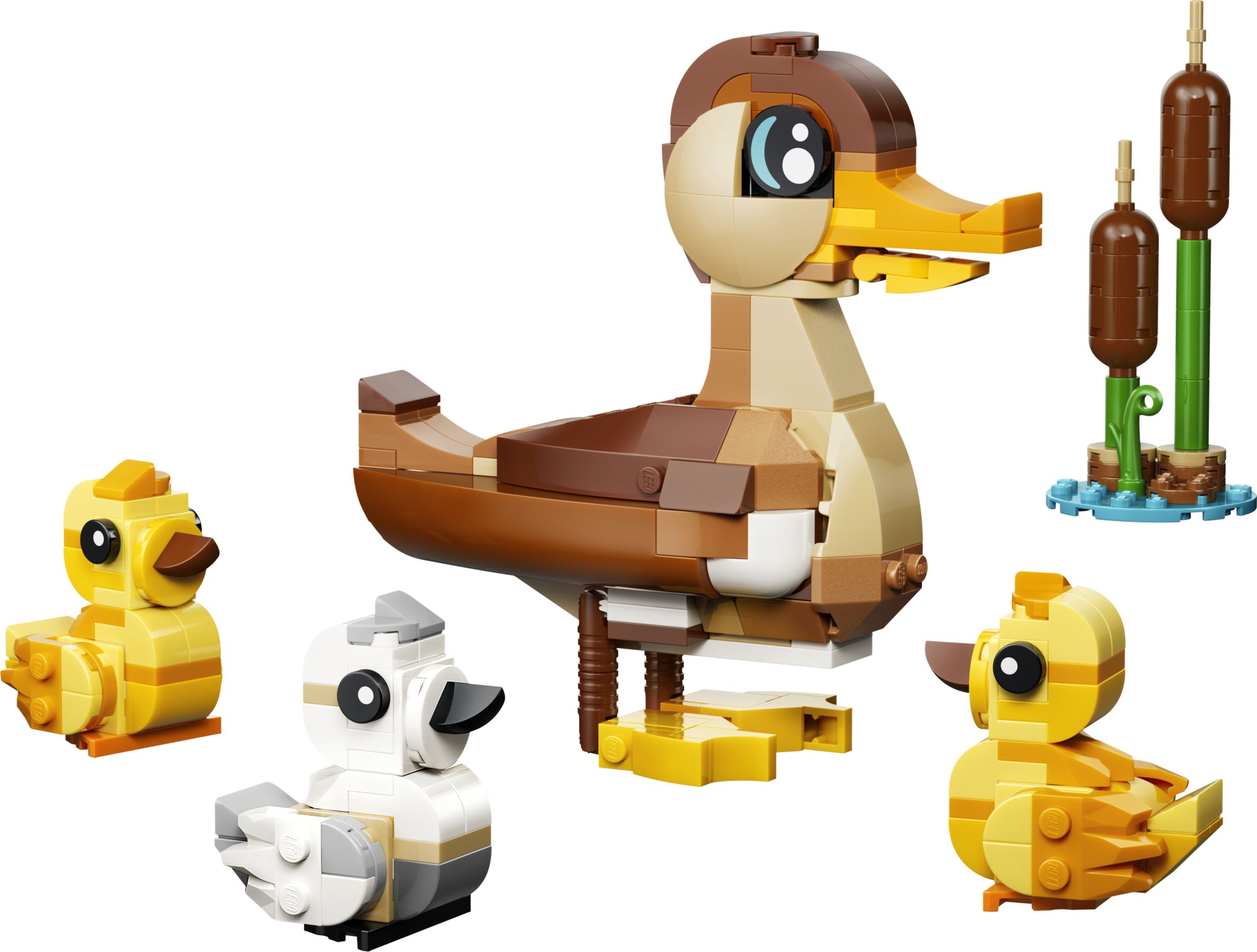 Jedi JAC Penguin